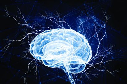 article image - brain